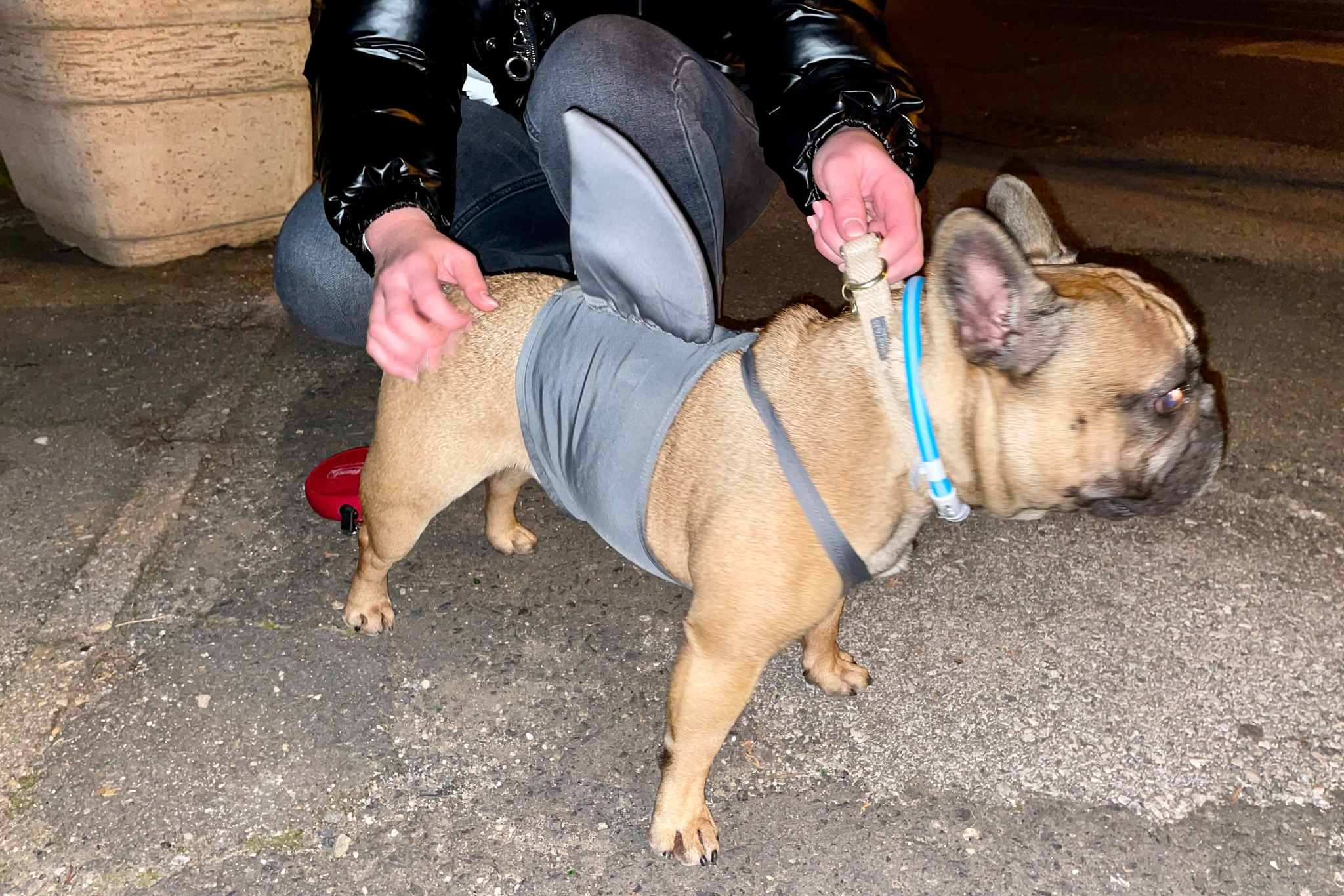 szerencsi kutyas seta 02