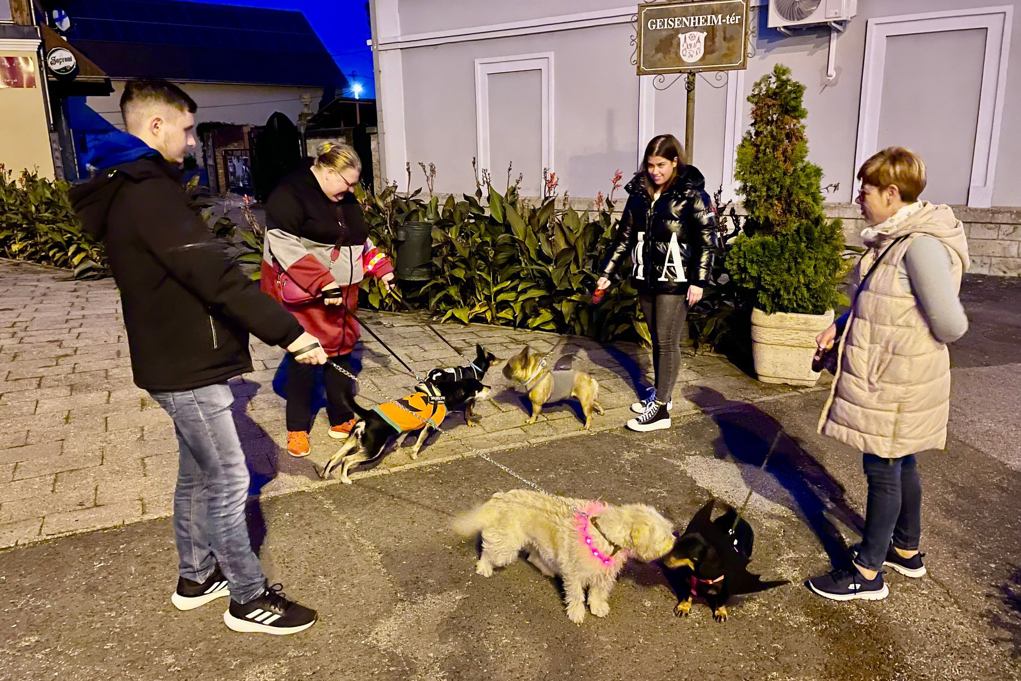 szerencsi kutyas seta 03