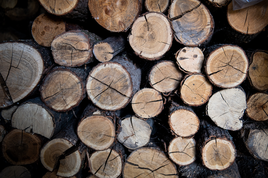 Egyre több család marad hidegben, mert drágul a tűzifa, és a kormány nem emeli meg a keretet