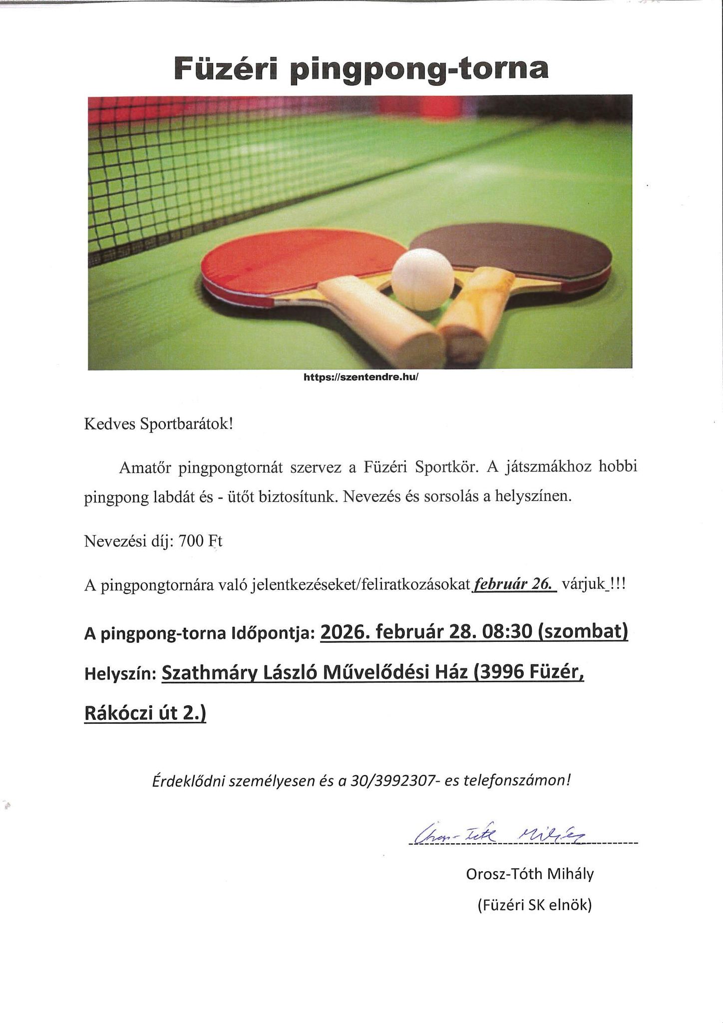 pingpong torna plakat